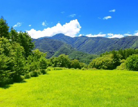 自治体・地域活性を志す方